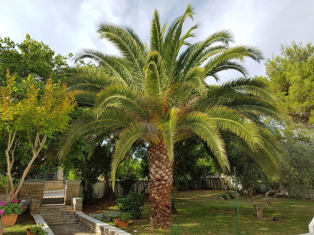 Villa Rosa With Yard And Children'S Playground Tar-Vabriga ภายนอก รูปภาพ