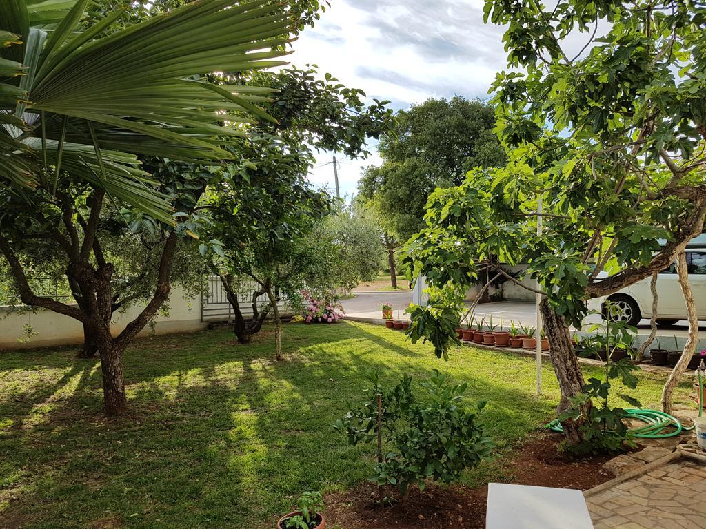 Villa Rosa With Yard And Children'S Playground Tar-Vabriga ภายนอก รูปภาพ