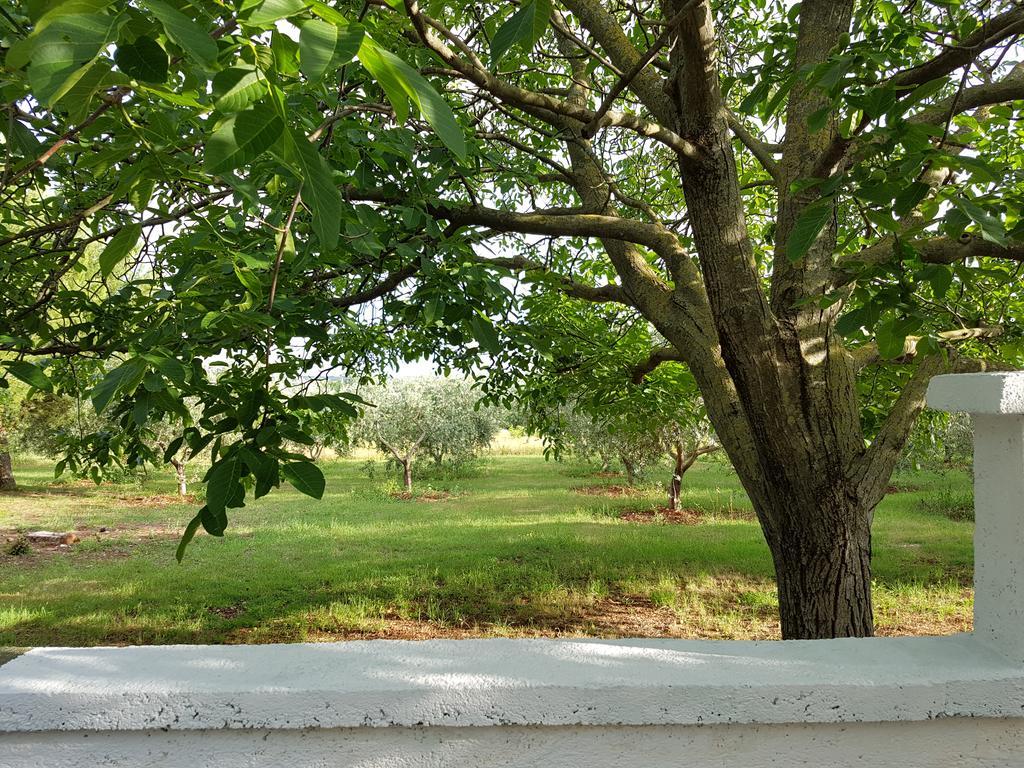 Villa Rosa With Yard And Children'S Playground Tar-Vabriga ภายนอก รูปภาพ