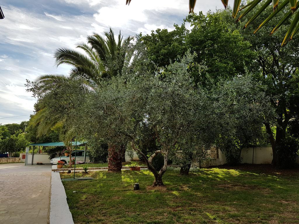 Villa Rosa With Yard And Children'S Playground Tar-Vabriga ภายนอก รูปภาพ